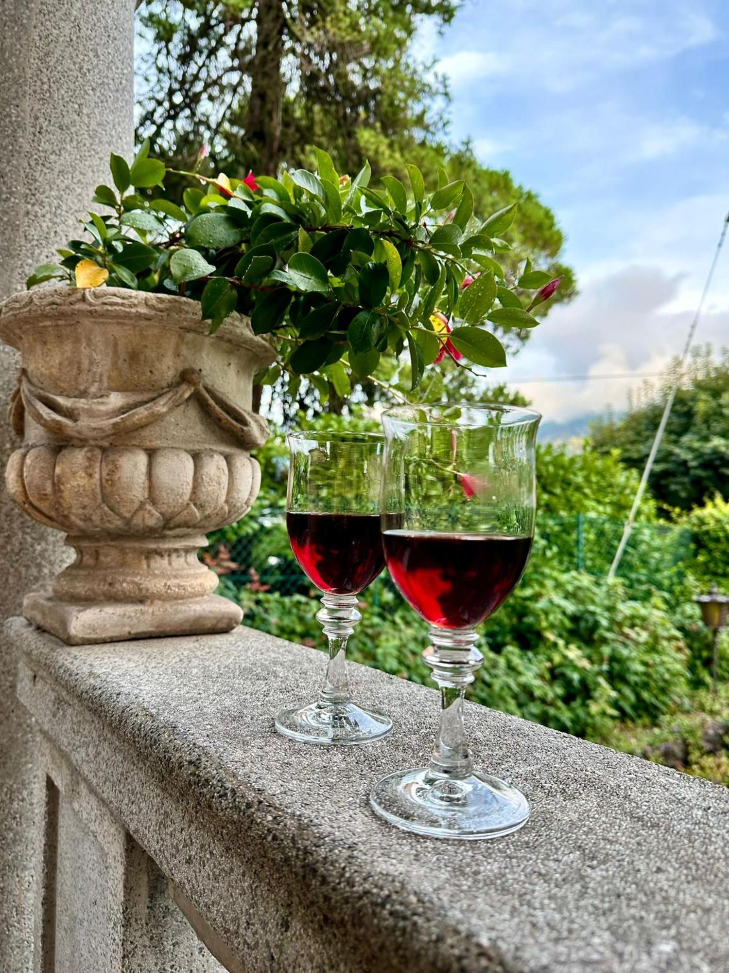 Villa Magnolia - Lake Como Lenno Ngoại thất bức ảnh